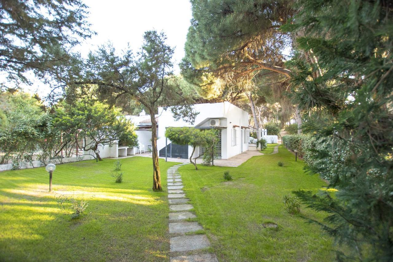 Villa Eucalipto Валедория Екстериор снимка